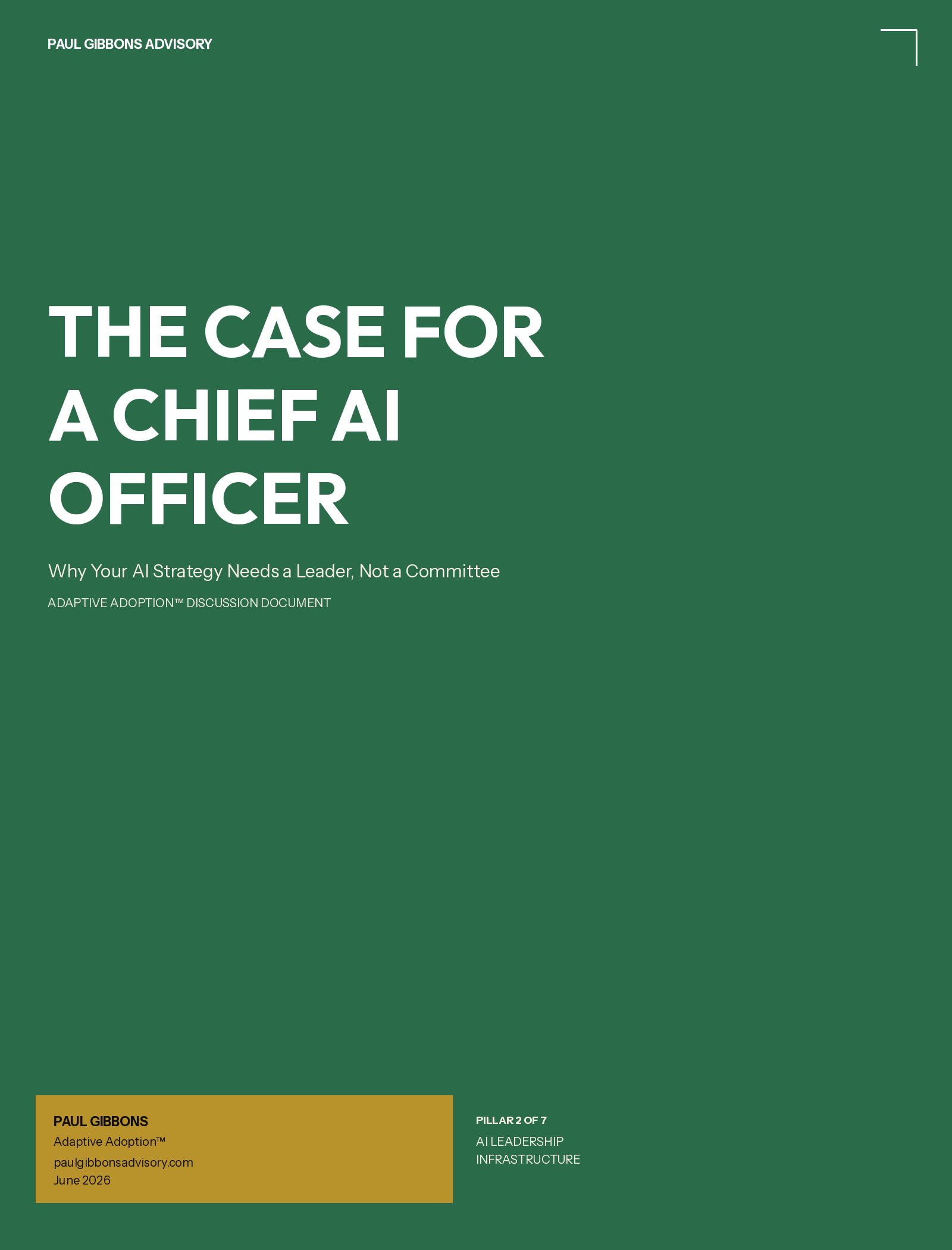 The Case for a Chief AI Officer — discussion document cover